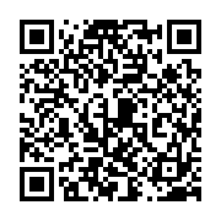 QR code for 49Y333