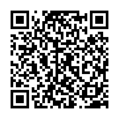 QR code for 49Z231