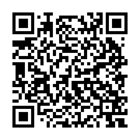 QR code for 4CH263