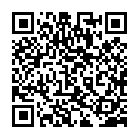QR code for 4DX428