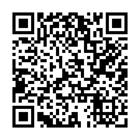 QR code for 4FQ338