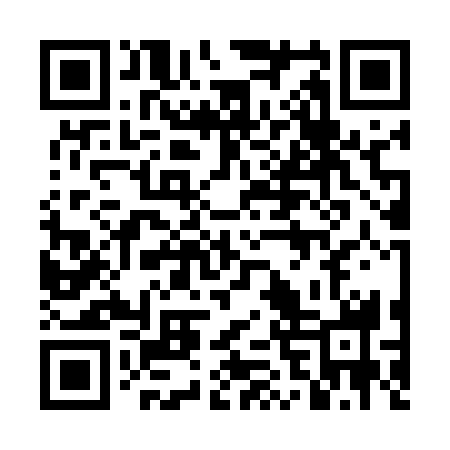 QR code for 4FS538