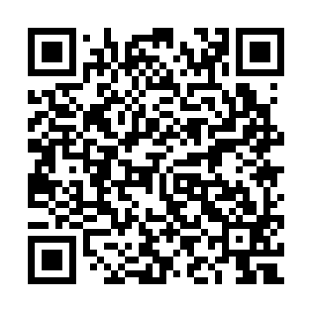 QR code for 4IA393