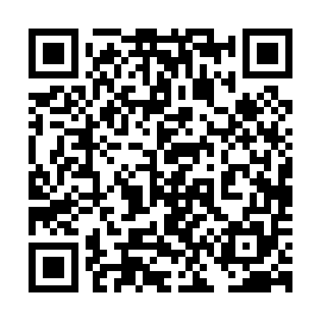 QR code for 4N0055