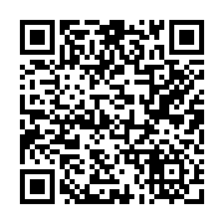QR code for 4N0317