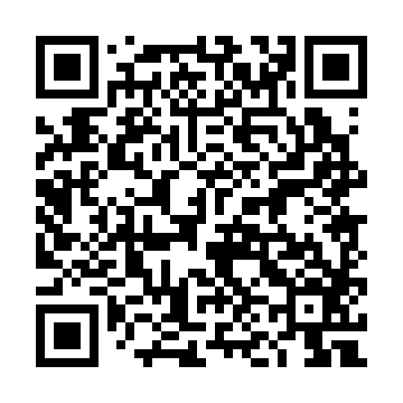 QR code for 4N0386