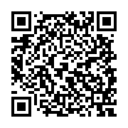 QR code for 4N6595