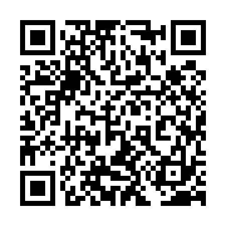 QR code for 4O9533