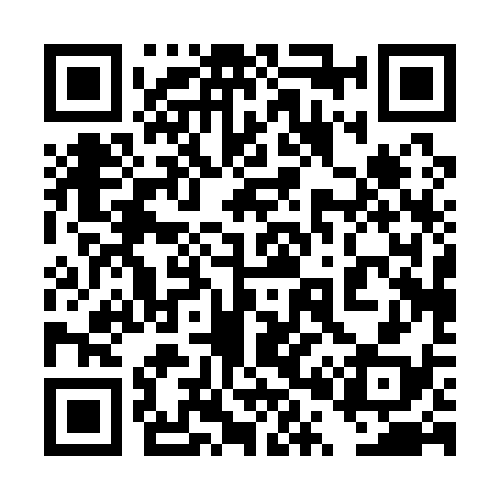 QR code for 4P0138