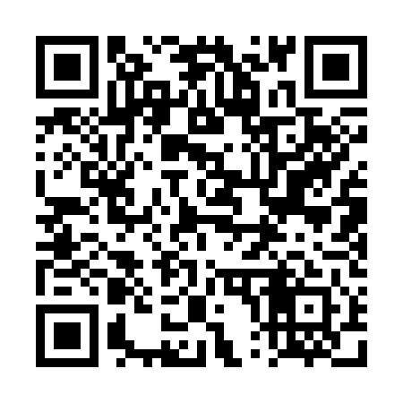 QR code for 4P1341