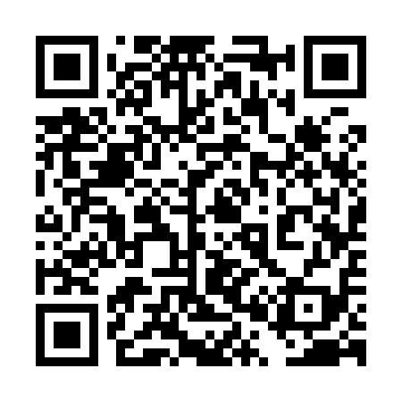 QR code for 4P3919