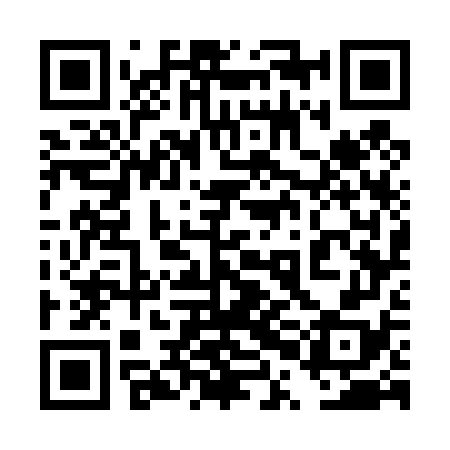 QR code for 4PG478