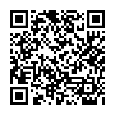 QR code for 4PI233