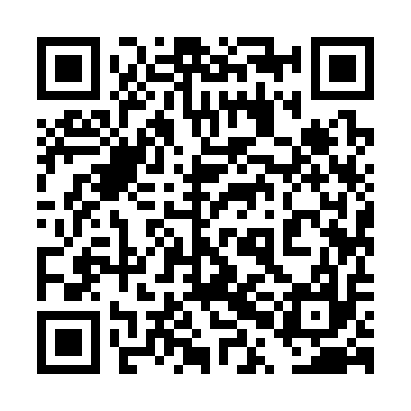 QR code for 4PI317