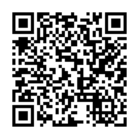 QR code for 4PL384