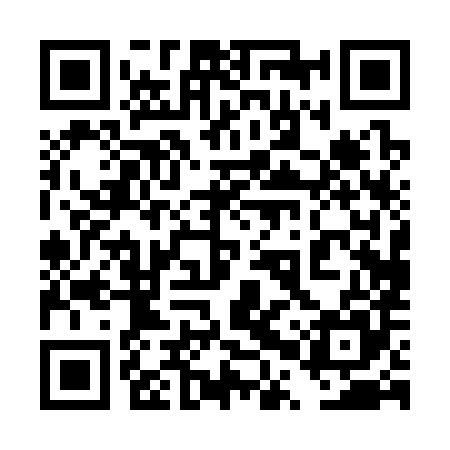 QR code for 4PP385