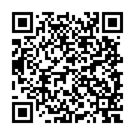 QR code for 4PT593