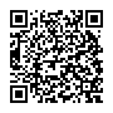 QR code for 4PV210