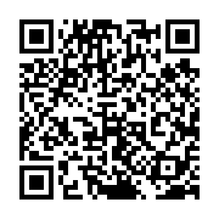 QR code for 4S4619