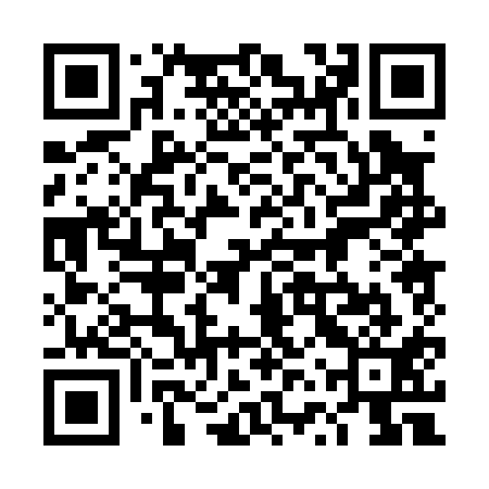 QR code for 4VP011