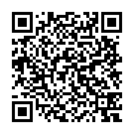 QR code for 4WO538