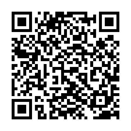 QR code for 4XL595