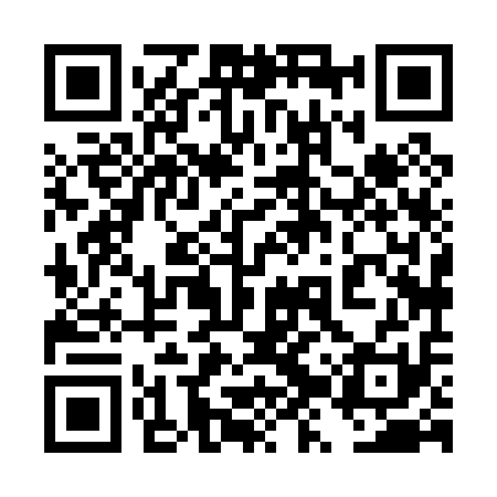 QR code for 4ZX011