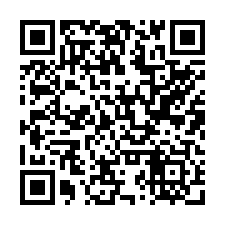 QR code for 4ZX203