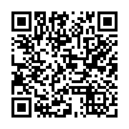 QR code for 50H333
