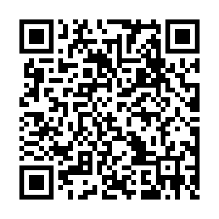 QR code for 51BP87