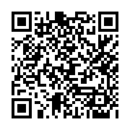 QR code for 51G461