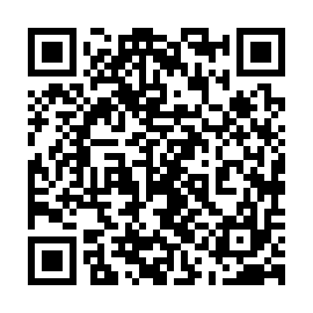 QR code for 51H317