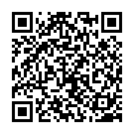 QR code for 51I131