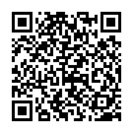 QR code for 51IG08