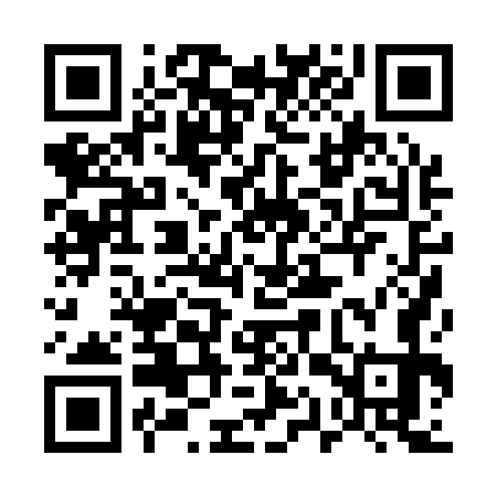QR code for 51P173