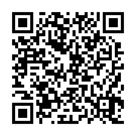 QR code for 51P226