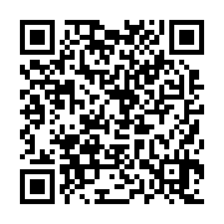 QR code for 51P234