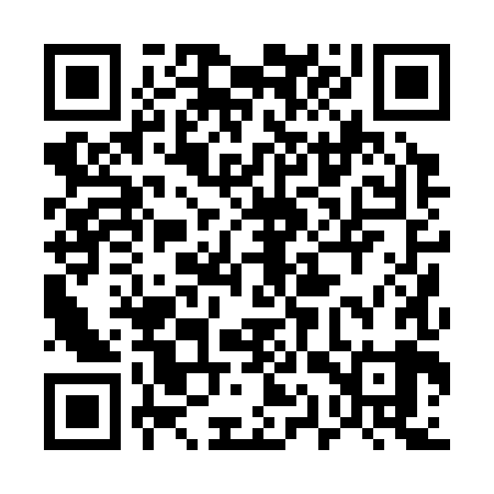 QR code for 51P389