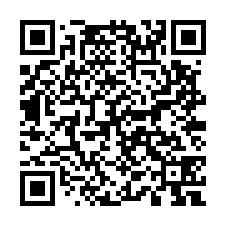 QR code for 51PU38