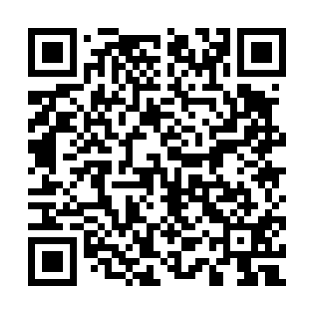 QR code for 51Q411