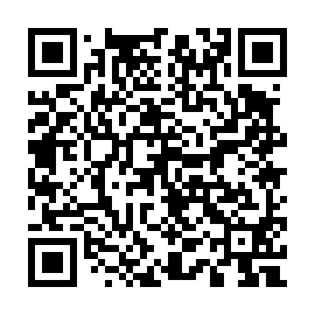 QR code for 51Q490