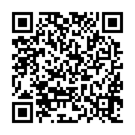 QR code for 51V397