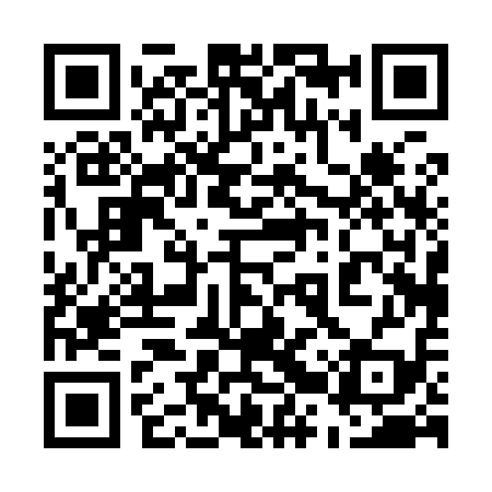 QR code for 52P919