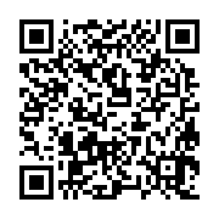 QR code for 53G387