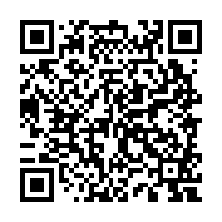 QR code for 53H381