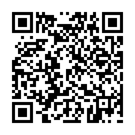QR code for 53Q384