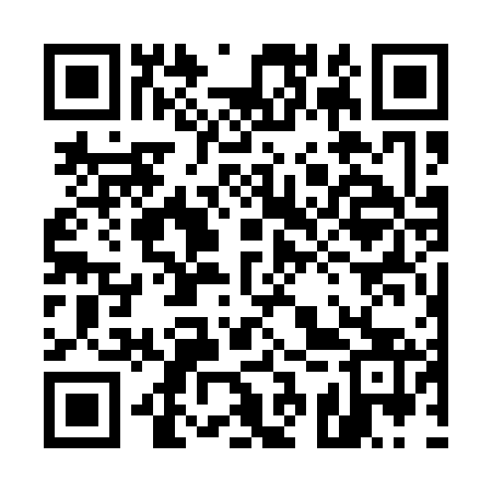 QR code for 53W163
