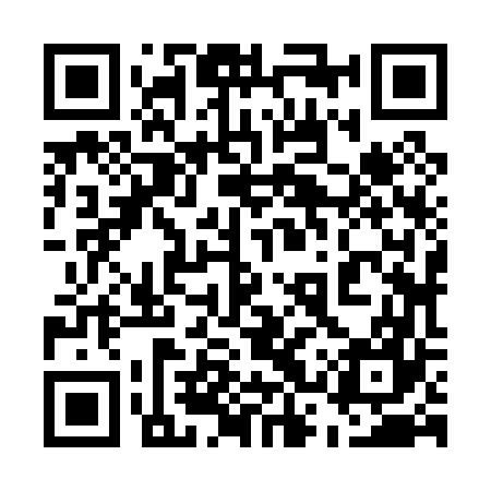 QR code for 53Z067