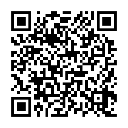 QR code for 53Z338