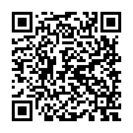 QR code for 53Z996